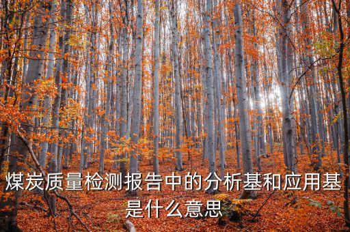 分析基什么意思，煤炭檢測報(bào)告中的QQT和S是什么意思