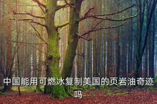 美國頁巖油革命是什么，中國開通這么多高鐵動車汽油柴油的消耗量會不會下降