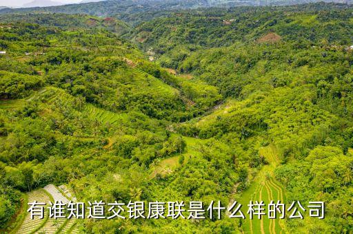 交銀康聯(lián)是什么公司，有誰知道交銀康聯(lián)是什么樣的公司