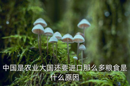 國內(nèi)糧食充裕為什么還要進(jìn)口，為什么中國還要進(jìn)口糧食