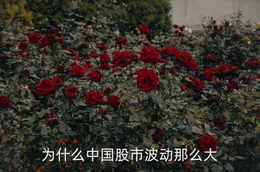 中國股市波動為什么這么大，為什么最近股票起伏波動很大