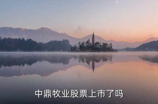 中鼎牧業(yè)股票上市了嗎