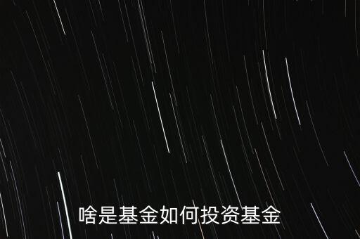 基金投資是什么，什么是基金投資