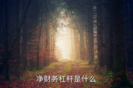 凈杠桿率是什么，什么是杠桿率