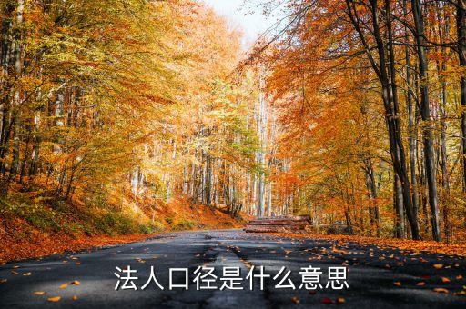 法人口徑是什么意思
