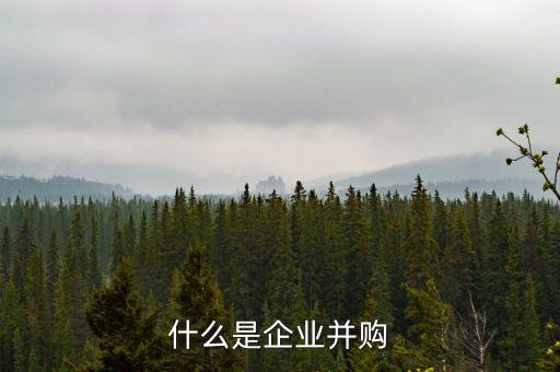 什么事并購，企業(yè)并購是什么意思