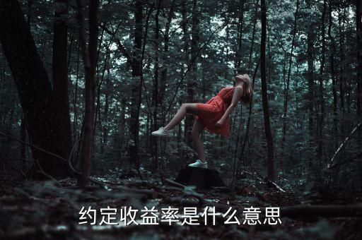 約定收益率是什么意思