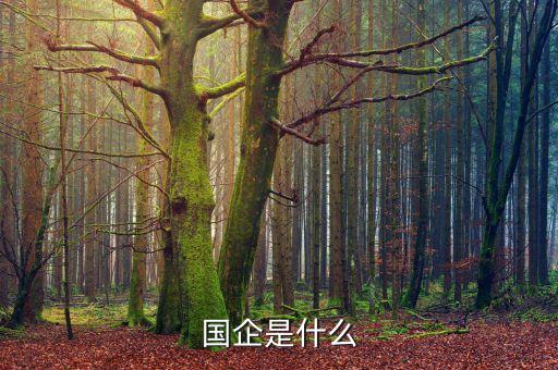 國企是干什么的，什么是國企