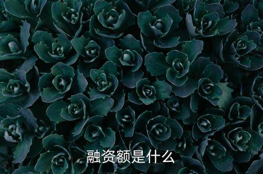 什么是融資金額，融資余額是什么