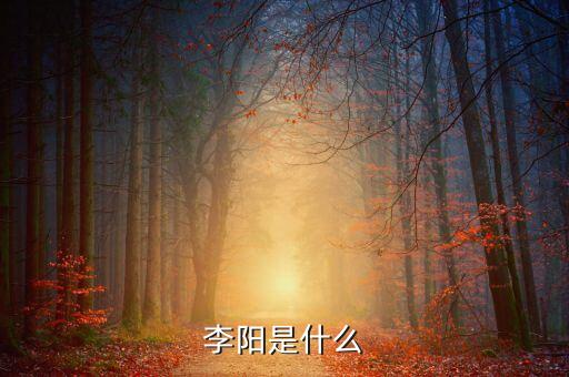 瘋狂老師創(chuàng)始人拿什么獲利，李陽是什么