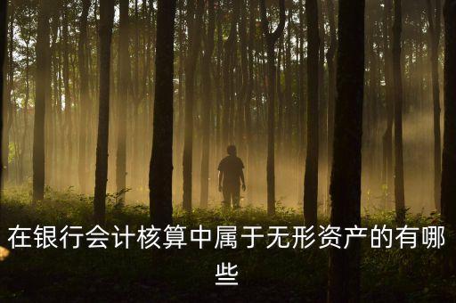 在銀行會計(jì)核算中屬于無形資產(chǎn)的有哪些