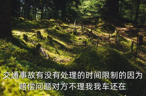 交通事故有沒有處理的時(shí)間限制的因?yàn)橘r償問題對(duì)方不理我我車還在