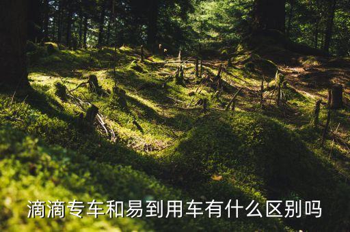 滴滴專車和易到用車有什么區(qū)別嗎