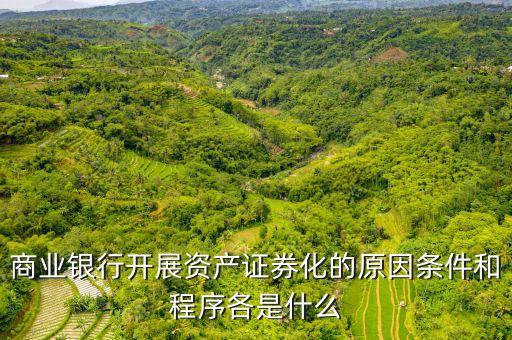 商業(yè)銀行開(kāi)展資產(chǎn)證券化的原因條件和程序各是什么