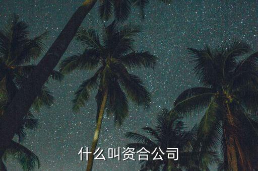 什么叫資本合作，政府和社會資本合作 什么是資本層面合作
