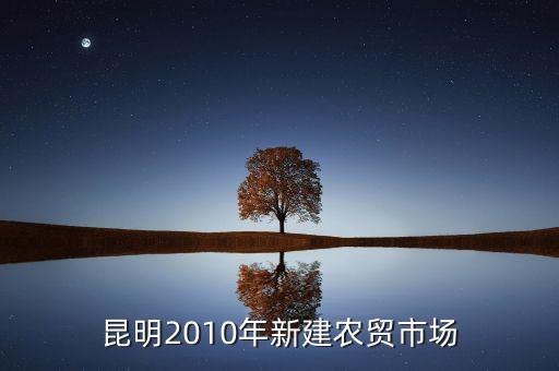 昆明2010年新建農(nóng)貿(mào)市場