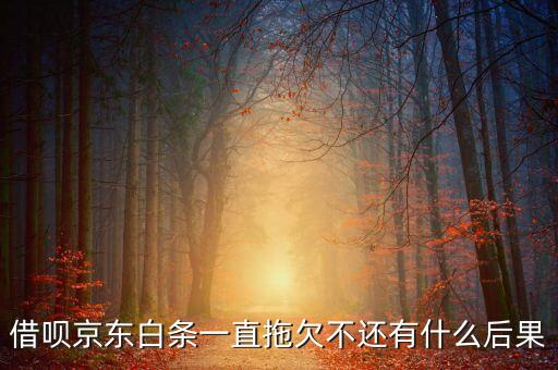 借唄京東白條一直拖欠不還有什么后果