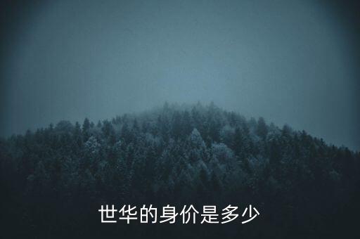 世華幣是什么，世華的身價是多少