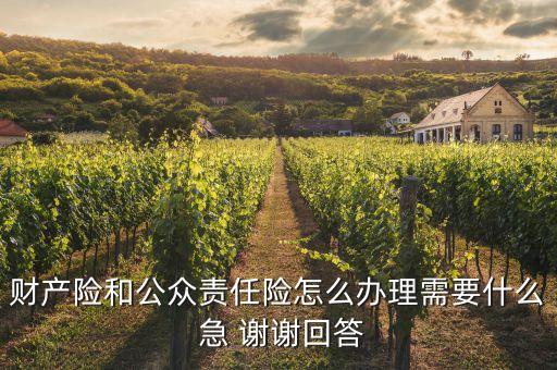 公眾責(zé)任險投保需要什么證件，如果要買公眾責(zé)任險和財產(chǎn)險需要準(zhǔn)備什么資料整個流程是怎樣的