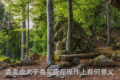 委賣(mài)盤(pán)大于委買(mǎi)盤(pán)在操作上有何意義