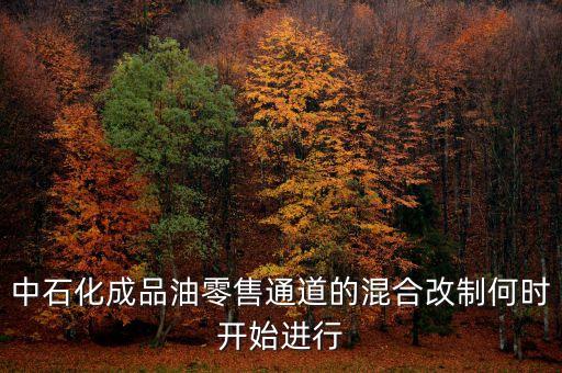 石油銷售有什么改革，中石化成品油零售通道的混合改制何時開始進(jìn)行