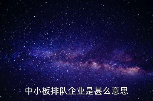 中小板排隊企業(yè)是甚么意思