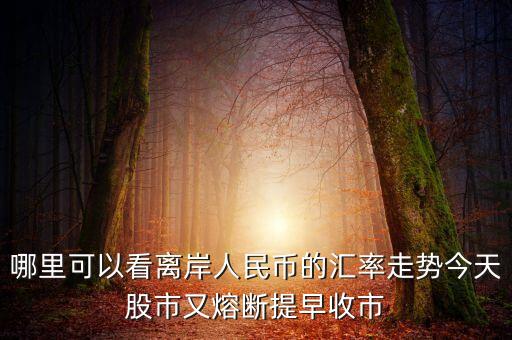 離岸人民幣暴跌看什么指數(shù)，a50以美金計價那么如果收盤以后人民幣暴跌應(yīng)該指數(shù)也會有下