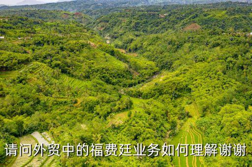請(qǐng)問外貿(mào)中的福費(fèi)廷業(yè)務(wù)如何理解謝謝