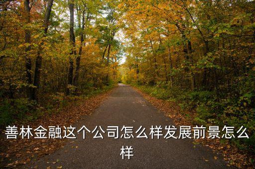 善林是什么公司，善林是誰(shuí)創(chuàng)建的啊誰(shuí)能告訴我