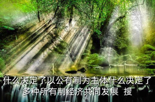 什么決定了以公有制為主體什么決定了多種所有制經(jīng)濟共同發(fā)展  搜
