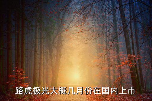 路虎極光大概幾月份在國(guó)內(nèi)上市