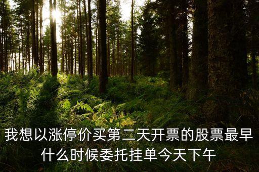 買漲停板股票什么時(shí)候掛單，我如果以漲停板要買某只股票的話早上最早幾點(diǎn)就可以掛單了  搜