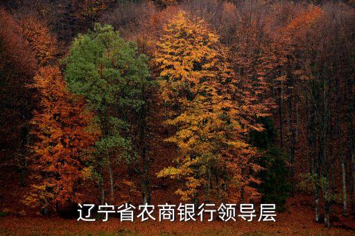 遼寧什么信用聯(lián)社理事長名單，遼寧省農(nóng)村信用社聯(lián)合社現(xiàn)在叫什么名