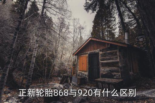 什么是920資金，能不能退保險(xiǎn)的問題