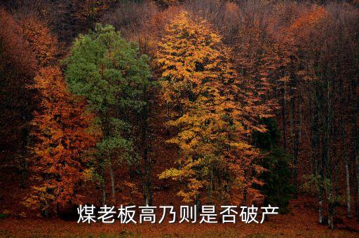 七千萬嫁女煤老板為什么會破產(chǎn)，太原迎賓車站附近最近奇聞