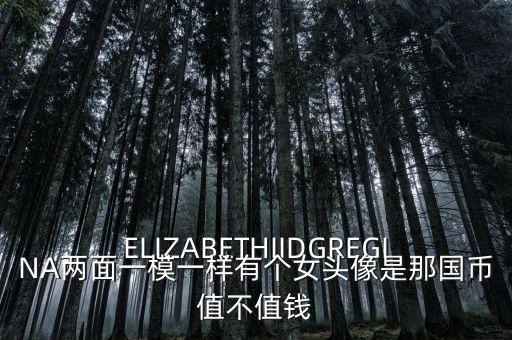 ELIZABETHIIDGREGINA兩面一模一樣有個(gè)女頭像是那國(guó)幣值不值錢