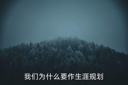 我們?yōu)槭裁匆魃囊?guī)劃
