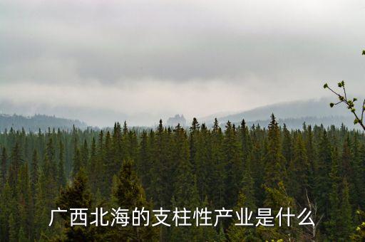 廣西支柱產(chǎn)業(yè)是什么，現(xiàn)在廣西省的三大支柱產(chǎn)業(yè)是什么