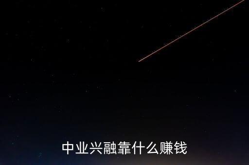 中業(yè)興融靠什么賺錢