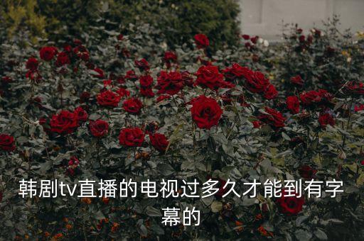 韓劇tv直播的電視過(guò)多久才能到有字幕的