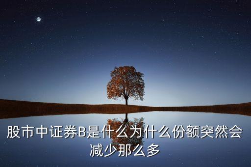 股市中證券B是什么為什么份額突然會減少那么多