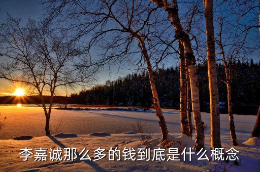 李嘉誠那么多的錢到底是什么概念