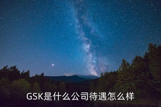 gsk公司的價(jià)值觀是什么，GSK是什么意思