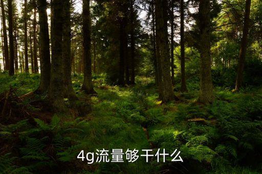 4g流量能干什么，4g流量夠干什么