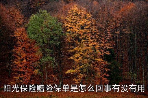陽(yáng)光保險(xiǎn)贈(zèng)險(xiǎn)保單是怎么回事有沒(méi)有用