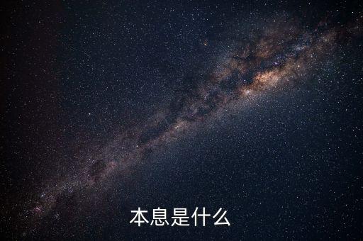 本息是什么