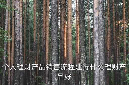 個(gè)人理財(cái)產(chǎn)品銷售流程建行什么理財(cái)產(chǎn)品好