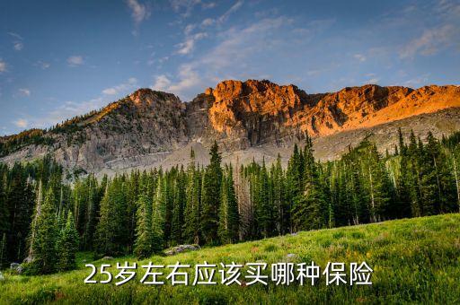 25歲買什么保險(xiǎn)好，25歲買什么保險(xiǎn)最劃算