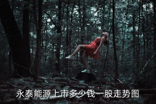 永泰能源什么股，永泰能源旗下都有哪些公司