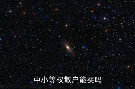 中小等權(quán)散戶能買嗎